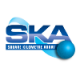 SKA Organisation logo